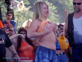 Click to view big image Flasher1360.jpg